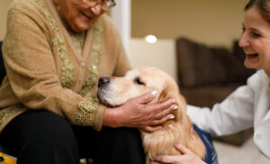 Curso de Terapia Asistida con Animales