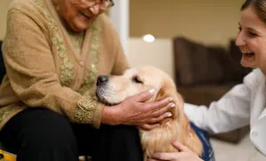 Curso de Terapia Asistida con Animales