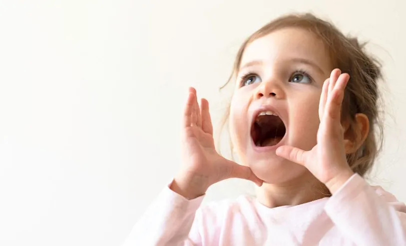 Taller-de-Desarrollo-del-Lenguaje-Infantil