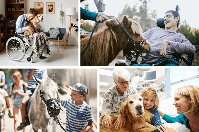 Collage-Curso-de-Terapia-Asistida-con-Animales