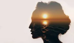 Curso de PNL e Inteligencia Emocional para el Coaching