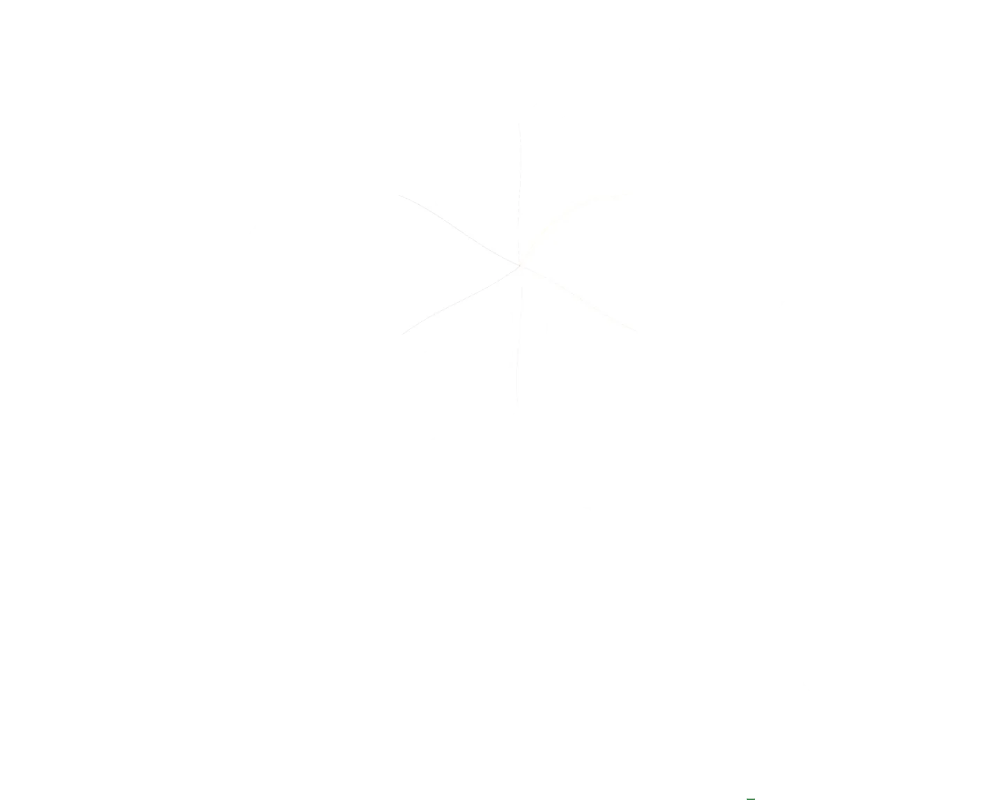 usui