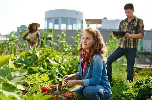 Curso-de-Huertos-Urbanos-ddf