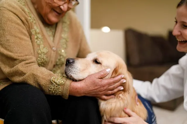 El-perro-de-terapia-divulgación-dinámica