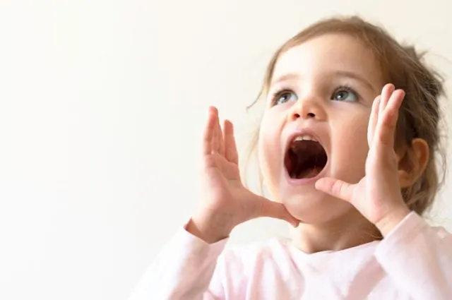 Taller-de-Desarrollo-del-Lenguaje-Infantil