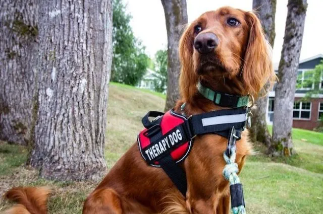 ryan-stone-l8I_wRlLu-M-unsplash (1)